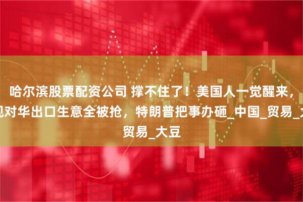 哈尔滨股票配资公司 撑不住了！美国人一觉醒来，发现对华出口生意全被抢，特朗普把事办砸_中国_贸易_大豆